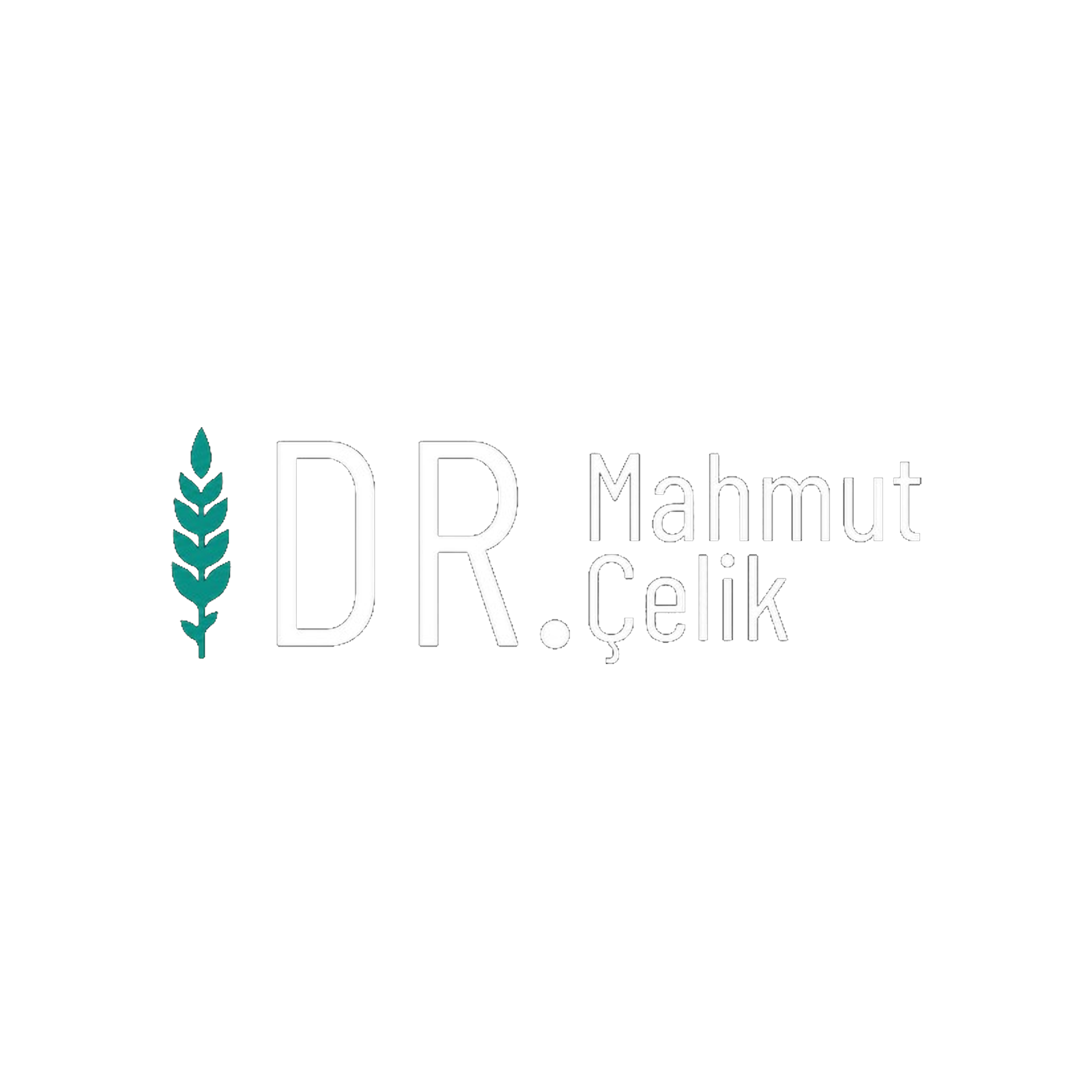 Dr. Mahmut Çelik